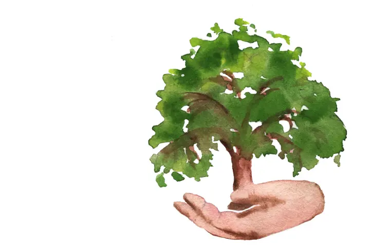 Aquarell eines Baumes, der von einer Hand sch&uuml;tzende gehalten wird.
